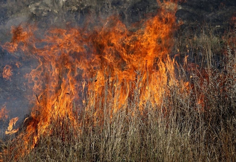 13 incendii de vegetație, în Gorj