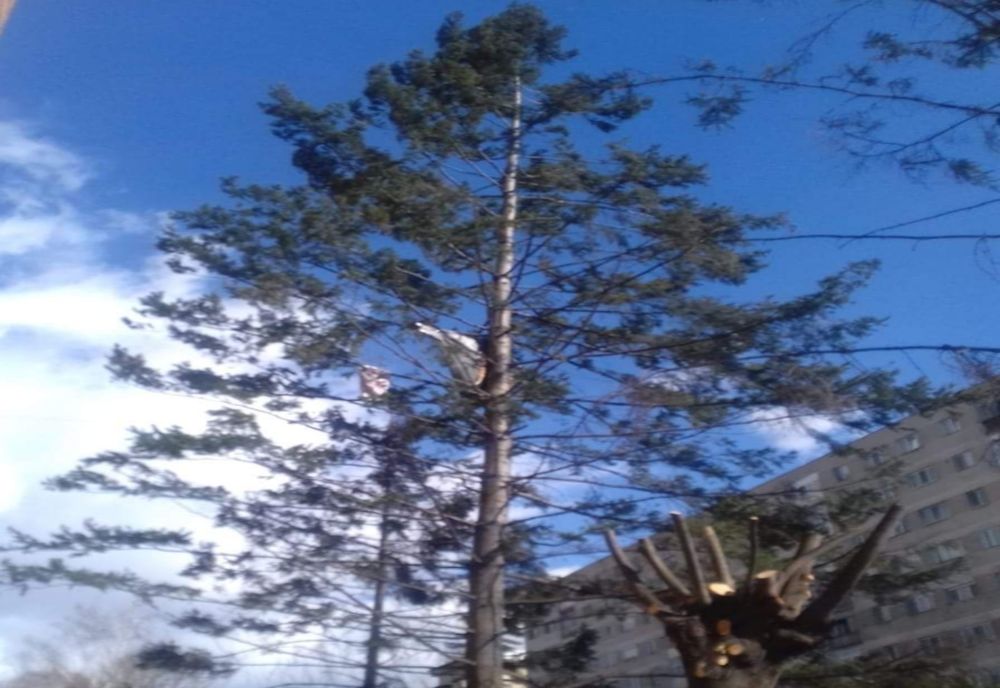 Vântul puternic face ravagii în Gorj: Acoperișuri distruse, localități fără energie electrică