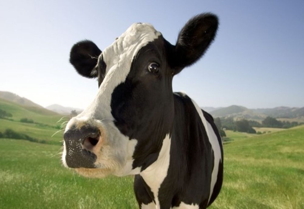 Primar din Gorj, condamnat pentru fraudă cu fonduri europene