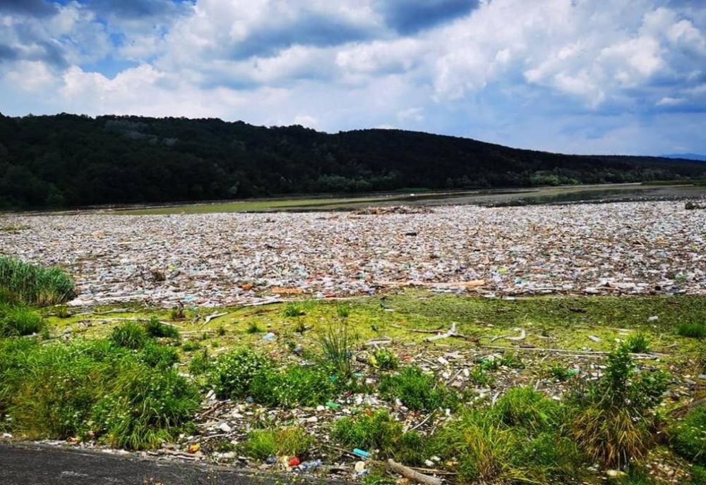 Furia apelor, la Peștișani: Mașini și animale, luate de viitură!