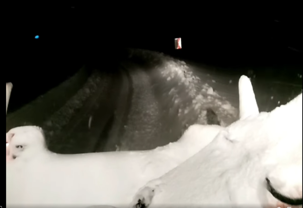 INTERVENŢIE la Rânca pentru ca drumurile să rămână circulabile