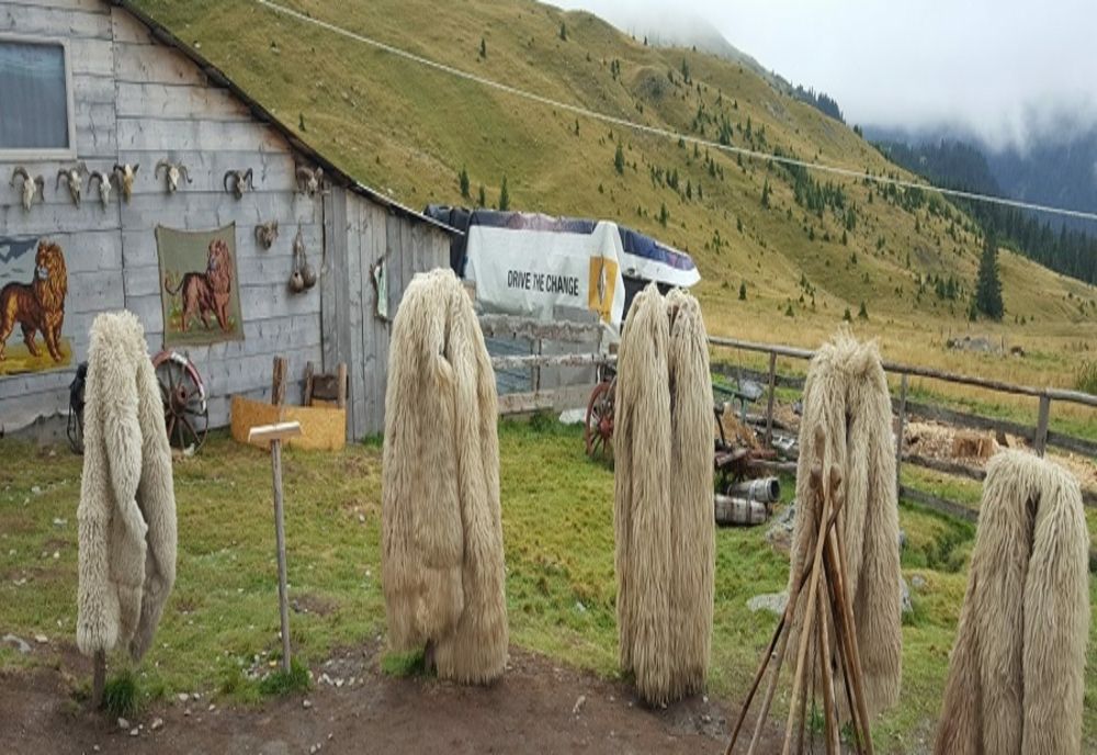 Gorj: Stâna Ștefanu de pe Transalpina se redeschide de Rusalii