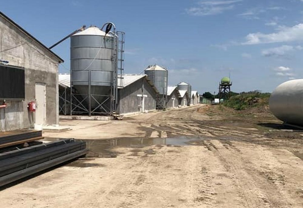 Garda de Mediu, amendă pentru o fermă de păsări din Gorj