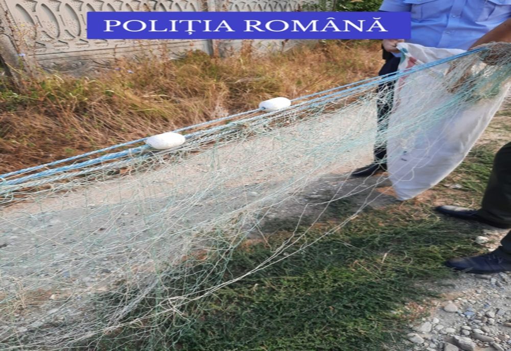 Percheziţii în Gorj. Ce au găsit poliţiştii