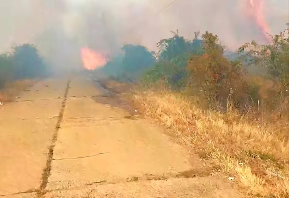 Incendiu de proporții. Au fost mobilizate echipe din mai multe județe