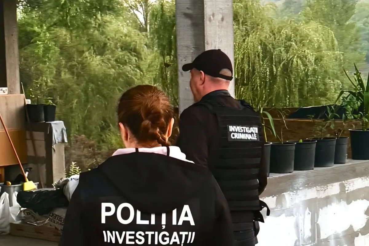 Percheziții în rândul unor lăutari din Gorj și Dolj, într-un dosar de evaziune fiscală. Veniturile din spectacole, în vizorul anchetatorilor