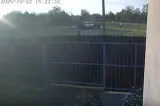 Scene șocante într-un sat din județul Ialomița. Copil de 13 ani urmărit cu mașina și bătut de tatăl unui coleg -VIDEO