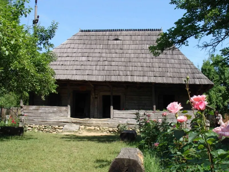 casa brancusi