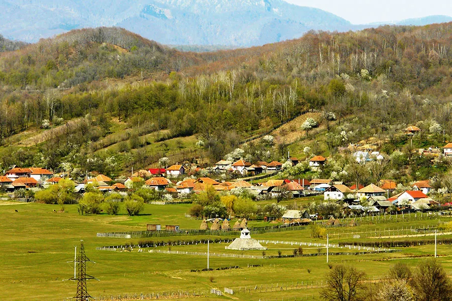 padeș