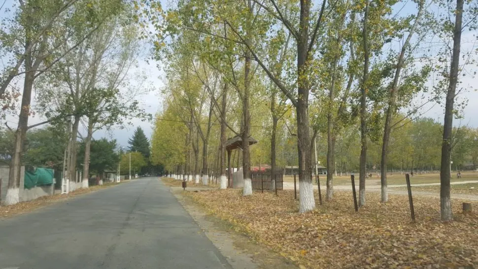 polovragi