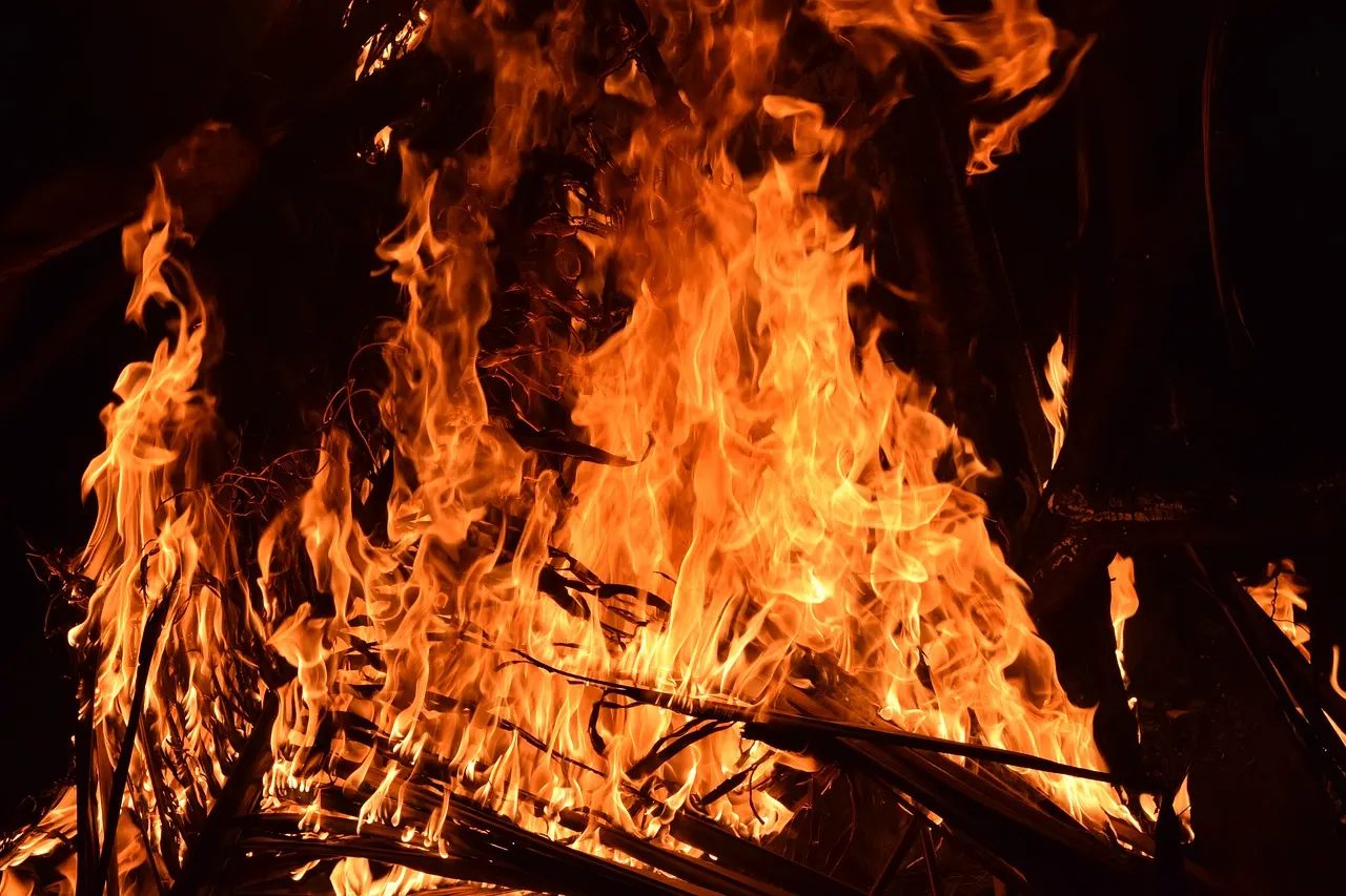 foc