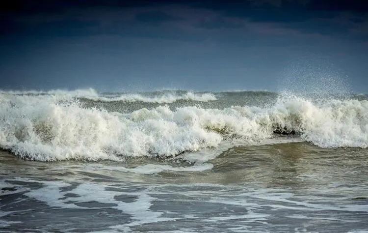 mare