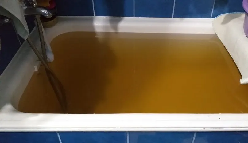 apa maro