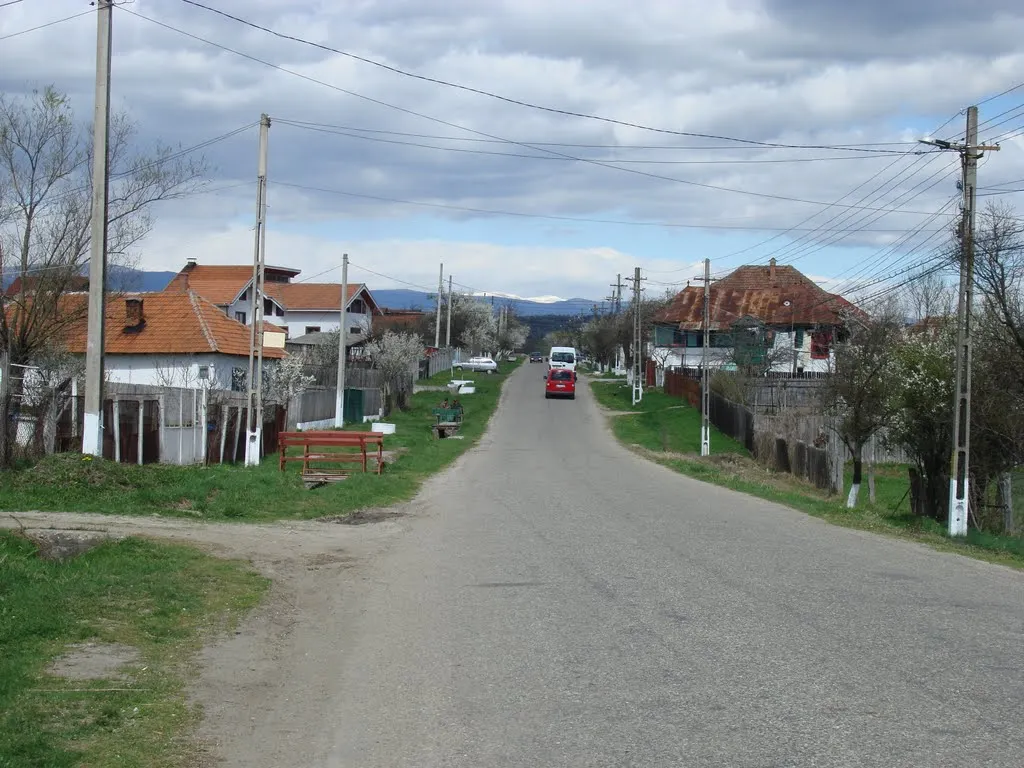 balanesti