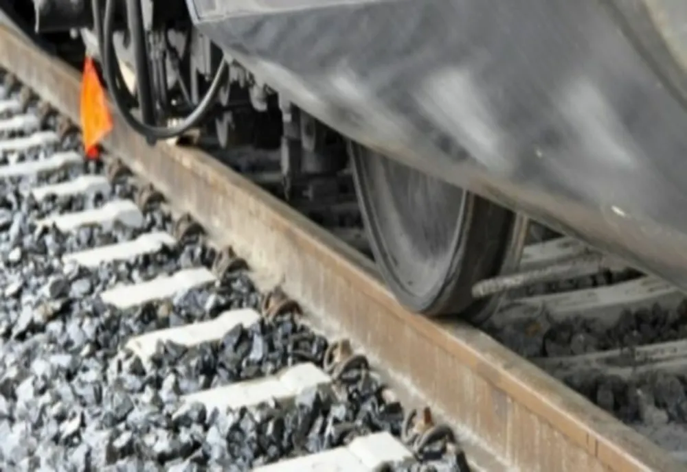 Călătorii unui tren Regio, abandonați în câmp. Locomotiva, luată să tracteze un tren internațional rămas în pană