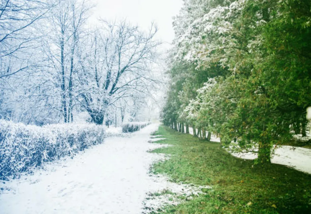PROGNOZA METEO 6 IANUARIE. MAXIMELE SAR LA 14 GRADE