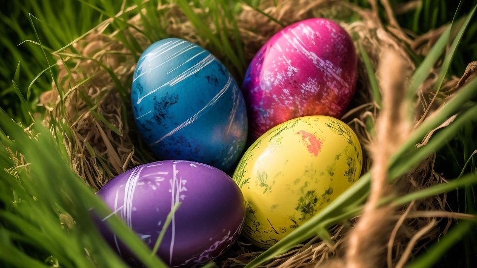 Cum știi că ouăle sunt bune