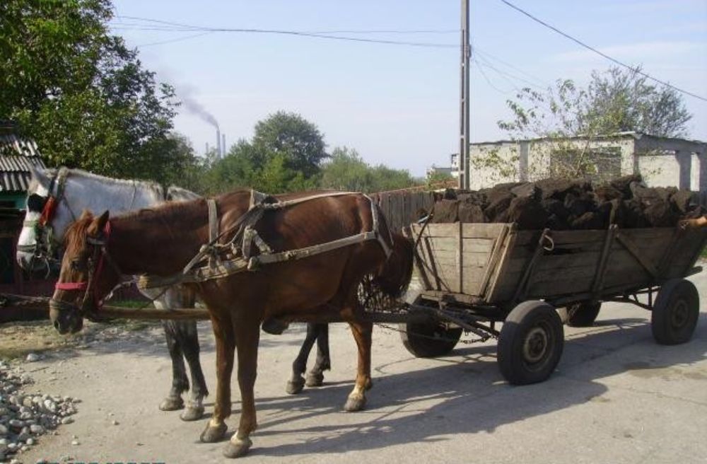 A furat aproape o tonă de cărbune cu căruța