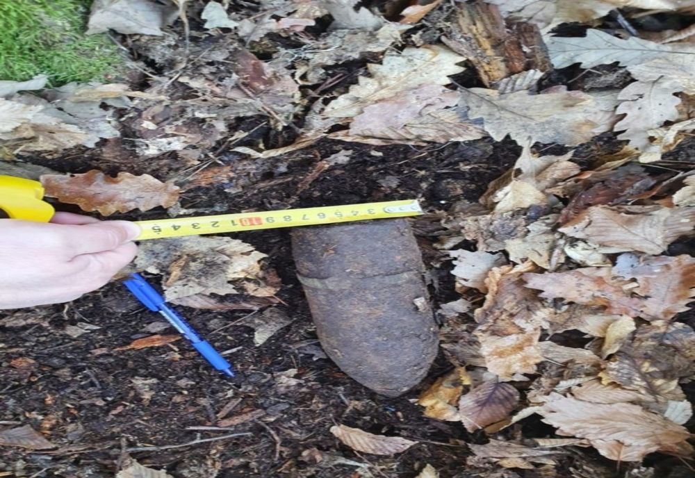 A găsit o bombă într-o pădure de lângă Târgu Jiu