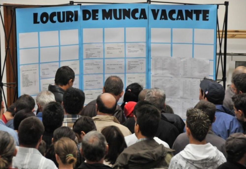 Doar 22 de firme din Gorj și-au suspendat activitatea în acest an