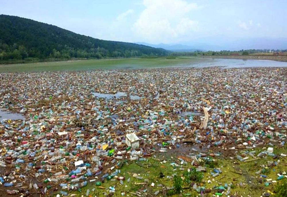 Ploaie în luna lui cuptor, cu peturi și iresponsabilitate