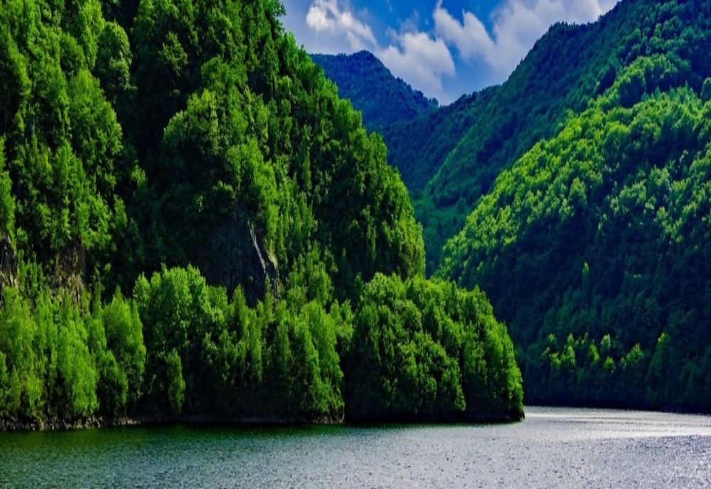 Școala Ecoterrienilor                