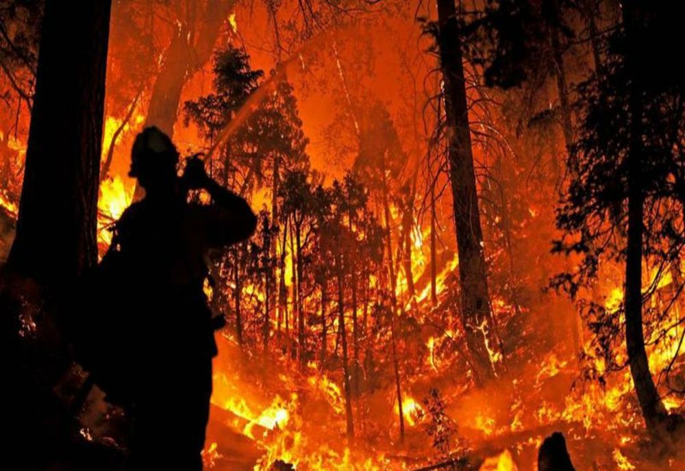 Ajutoare de urgență acordate de Guvern