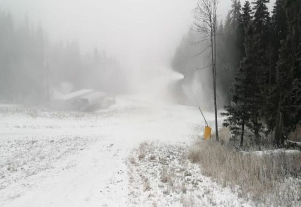 Cod galben de ninsori și viscol în 13 județe din țară