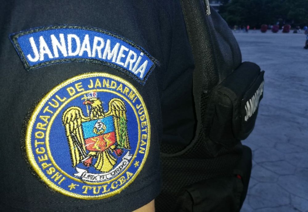 Pui de urs prins într-un laţ, într-o comună din Gorj