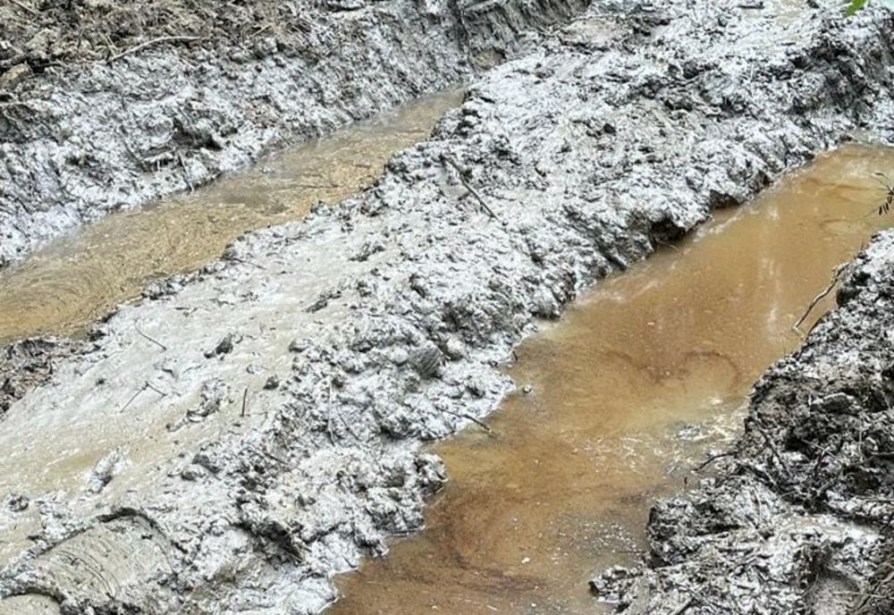 Poluare cu ţiţei, în Gorj