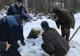 Doi pădurari din Gorj, pedepsiți de șefi după ce au descoperit furturile de lemne