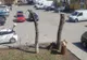 Toaletare extremă la Târgu Cărbunești. Zeci de copaci au fost ciopârțiți