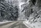  Ninge în munții Gorjului: Cod galben de vreme rea