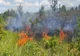 Incident rutier generat de fumul degajat de un incendiu de vegetație