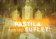 PASTILA PENTRU SUFLET - Rugăciune pentru vrăjmași