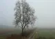 Vremea 17 decembrie. Temperaturi de primăvară, în plină lună de iarnă. Care sunt maximele zilei de astăzi