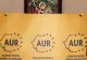 PARTIDUL AUR SE PREGĂTEȘTE SĂ INIȚIEZE DEMERSURI PENTRU VERIFICAREA AVERII LUI NICUȘOR DAN