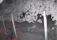 Panică într-o localitate din Gorj. Un urs a intrat în curtea unui localnic și a distrus două garduri VIDEO