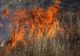 13 incendii de vegetație, în Gorj